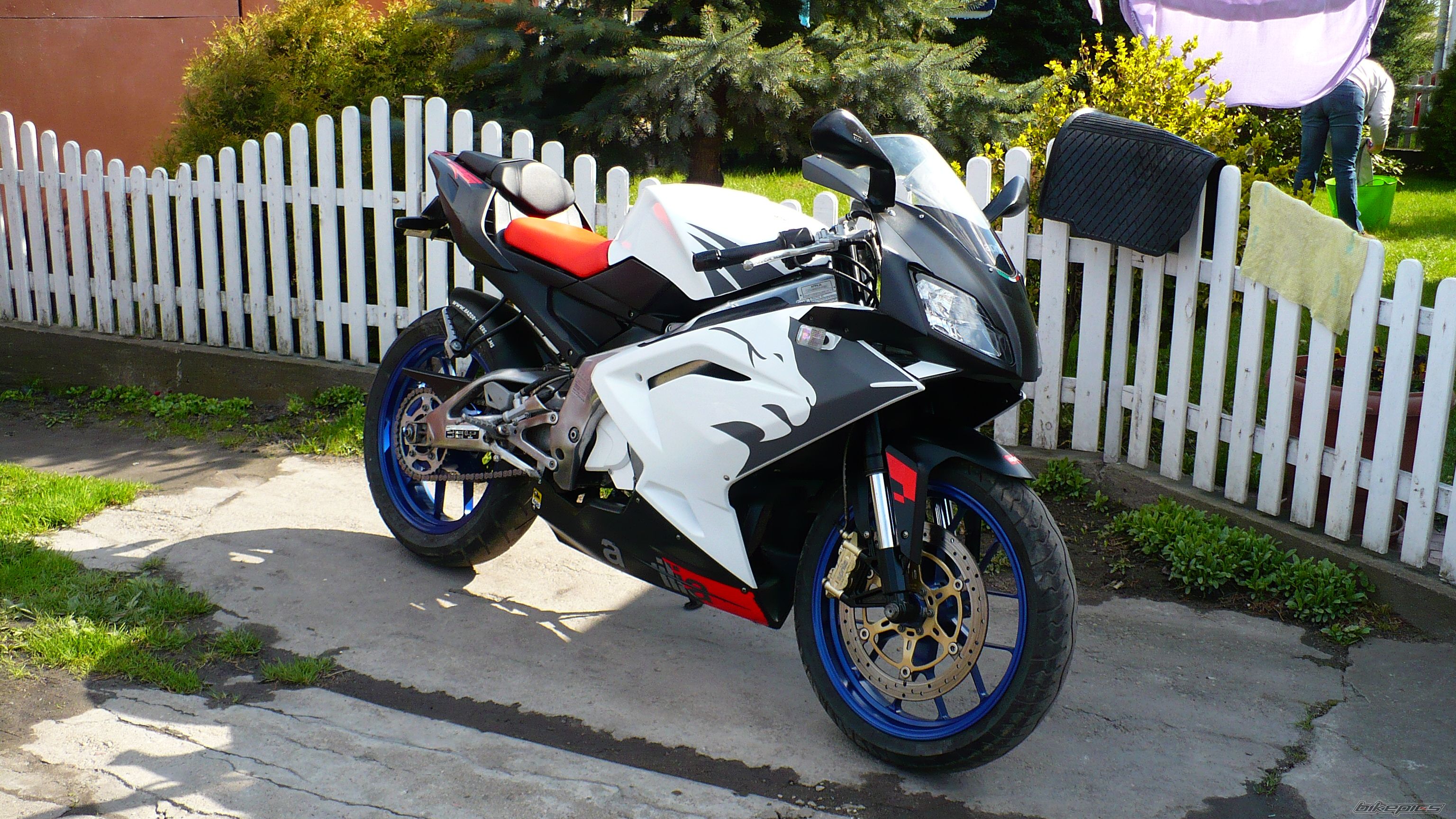2006 APRILIA RS 125 | Picture 2188957 motorcycle photo