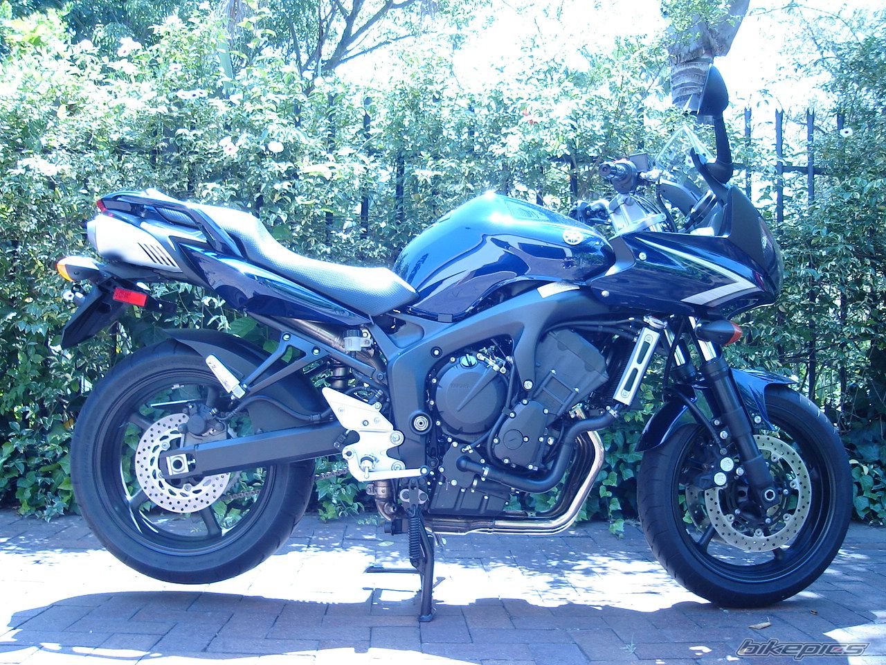 2008 YAMAHA FZS 600 FAZER | Picture 2189710 motorcycle photo