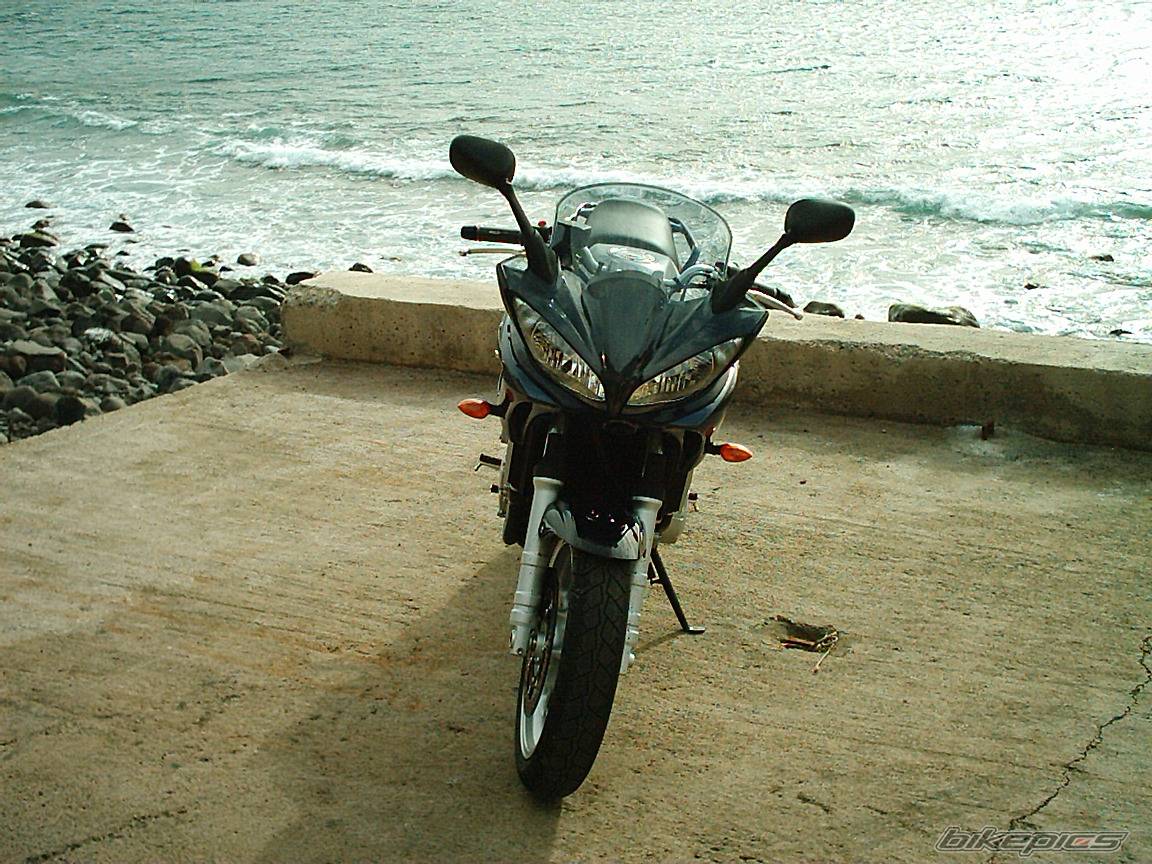 2004 YAMAHA FZ6 FAZER | Picture 218973 motorcycle photo