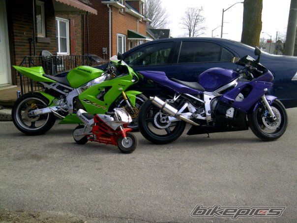 2002 YAMAHA YZF R6 | Picture 2189812 motorcycle photo