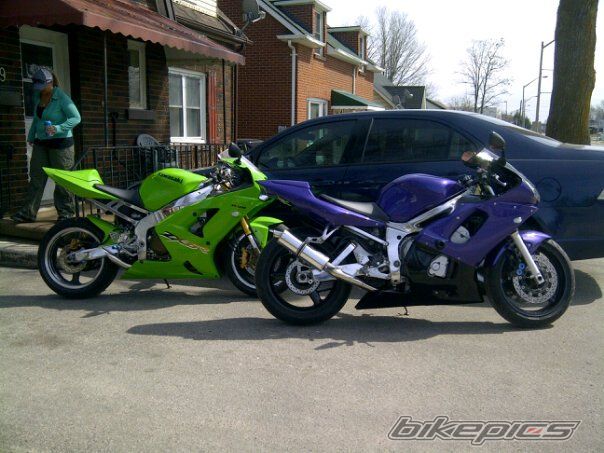 2002 YAMAHA YZF R6 | Picture 2189823 motorcycle photo