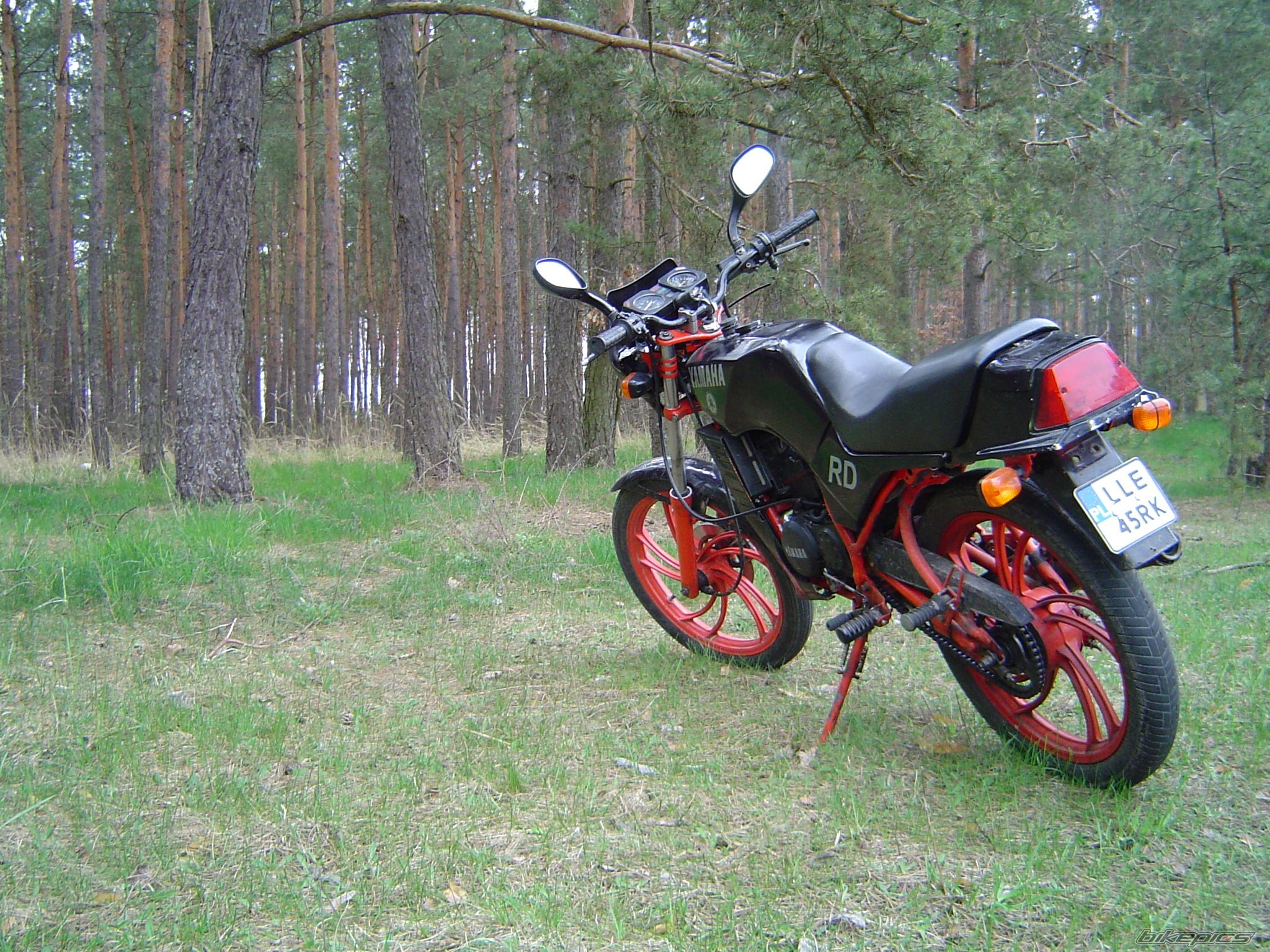 1997 YAMAHA RD 80 | Picture 2190020 motorcycle photo