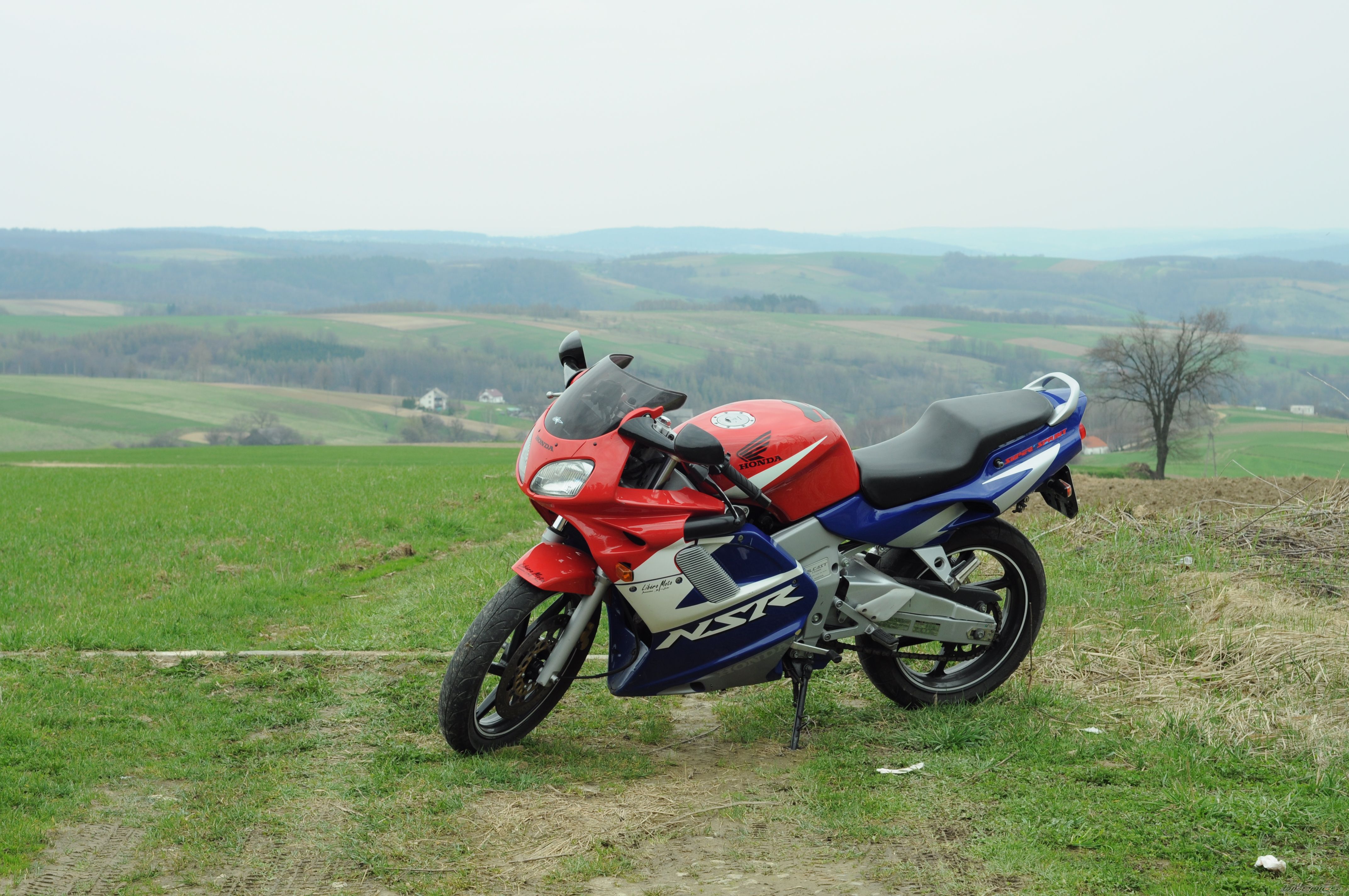 2002 HONDA NSR 125 | Picture 2190147 motorcycle photo