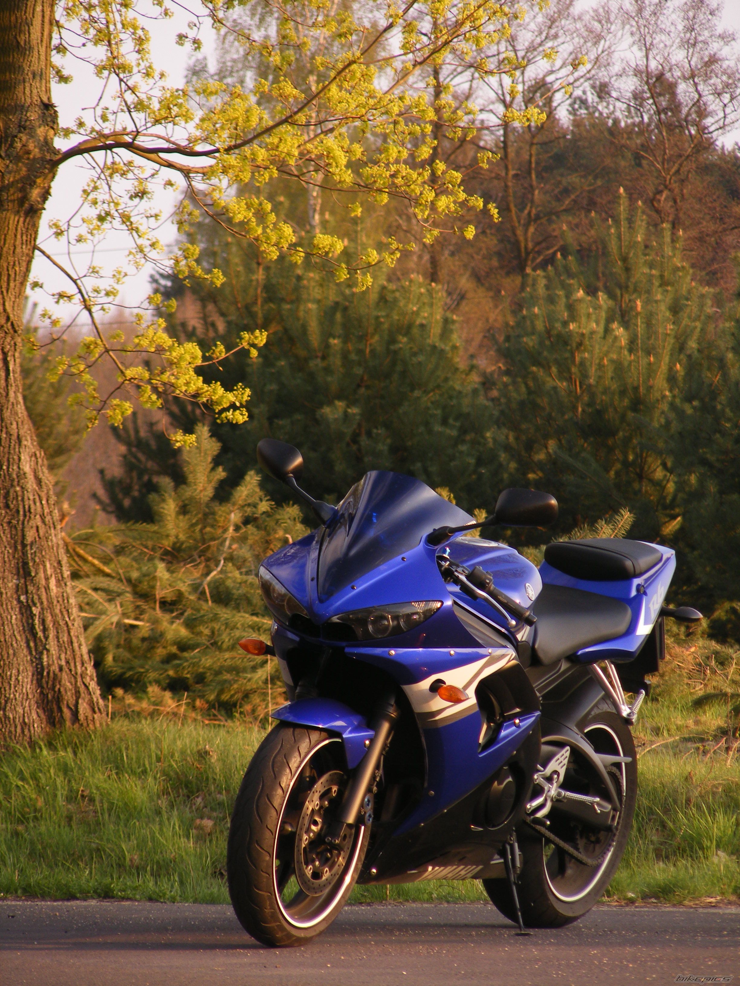 2004 YAMAHA YZF R6 | Picture 2190789 motorcycle photo