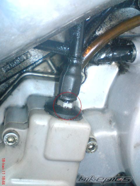    | Picture 2190791 motorcycle photo