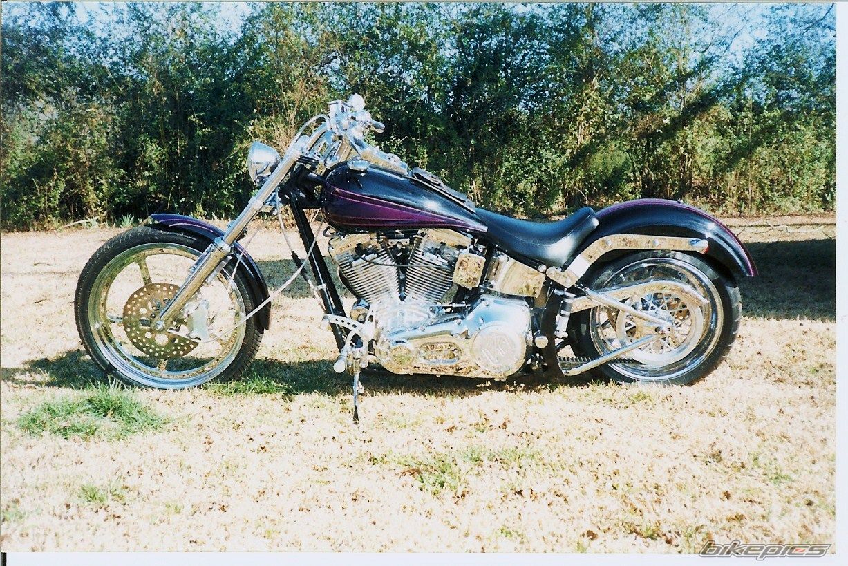 1998 HARLEY DAVIDSON FXSTC | Picture 2191171 motorcycle photo
