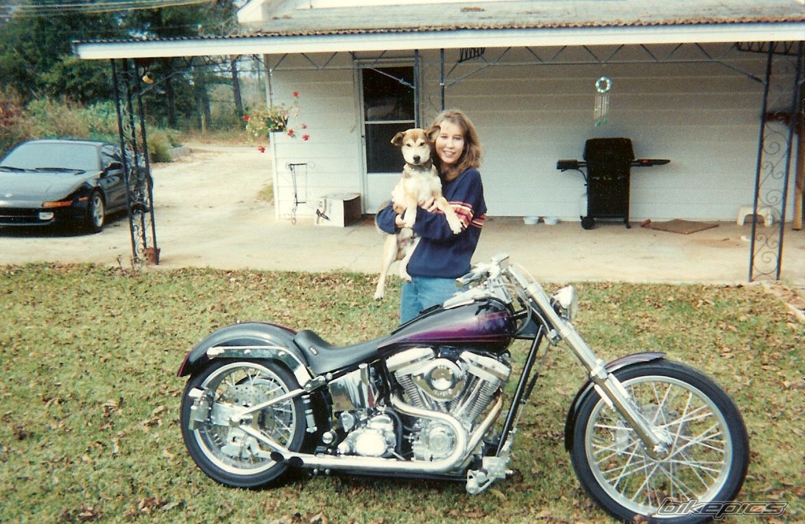 1998 HARLEY DAVIDSON FXSTC | Picture 2191176 motorcycle photo