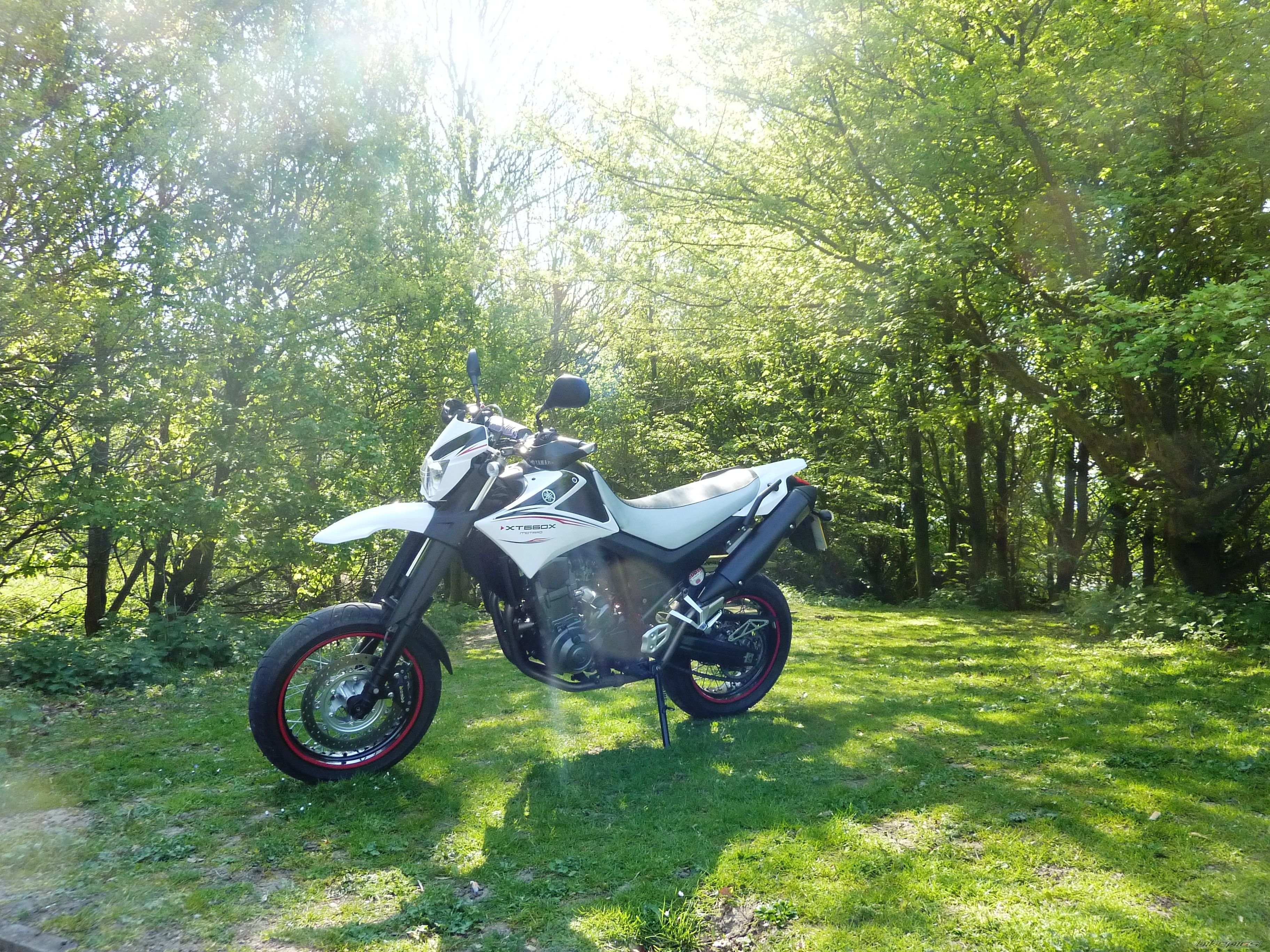 2010 YAMAHA XT 660X | Picture 2191969 motorcycle photo