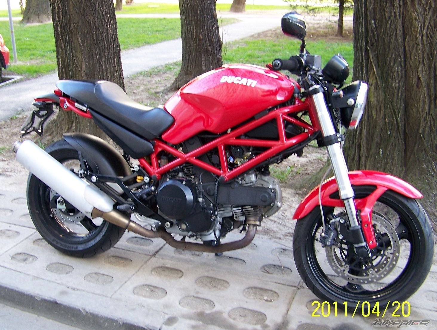 2006 DUCATI MONSTER 695 | Picture 2192190 motorcycle photo