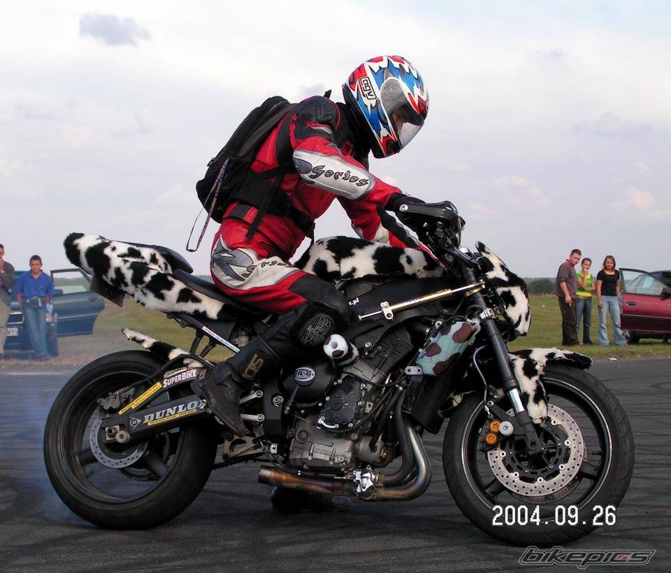 2003 YAMAHA YZF R1 | Picture 219260 motorcycle photo