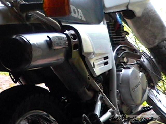 1990 HONDA NX 125 | Picture 219298 motorcycle photo