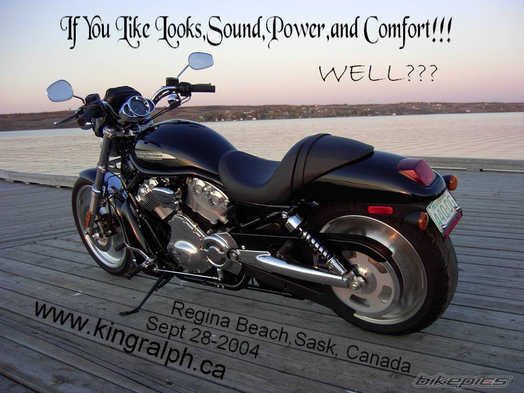 2004 HARLEY DAVIDSON DRAG BIKES | Picture 219362 motorcycle photo