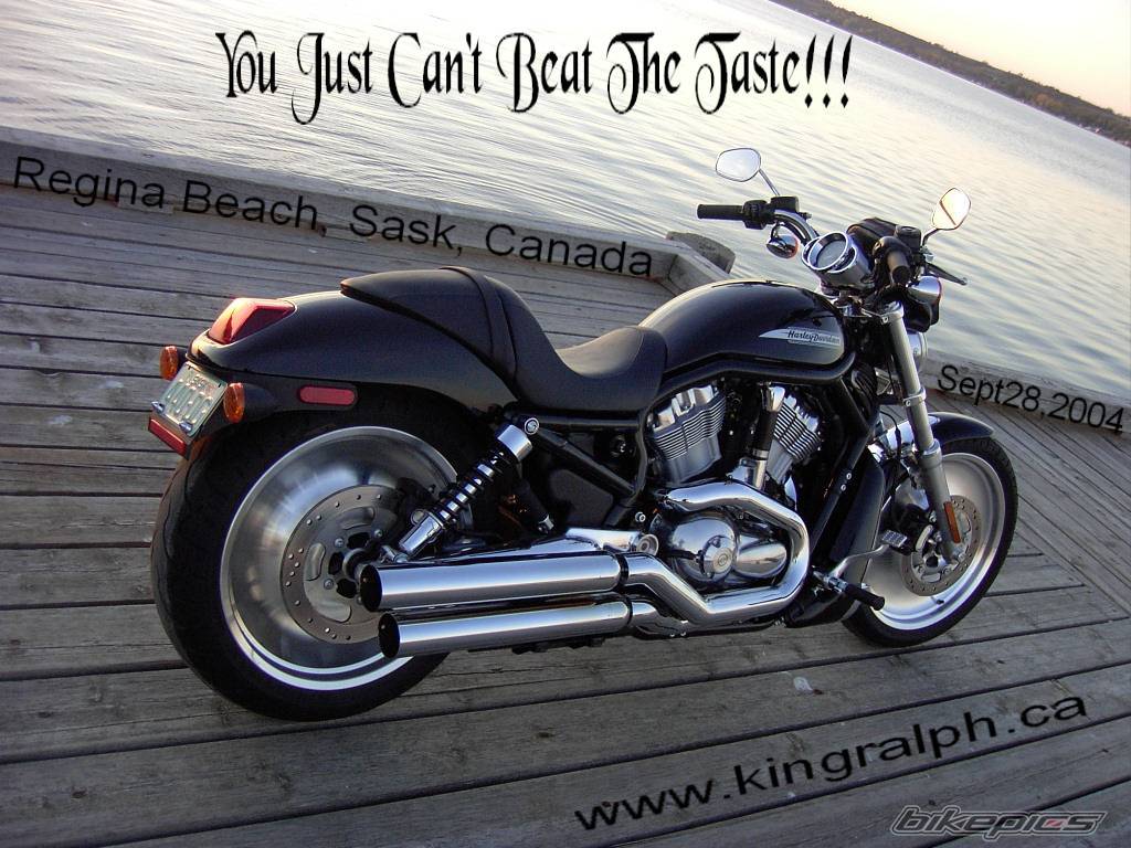 2004 HARLEY DAVIDSON DRAG BIKES | Picture 219363 motorcycle photo
