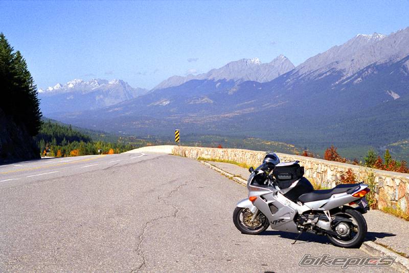 2001 HONDA VFR 800 | Picture 219382 motorcycle photo