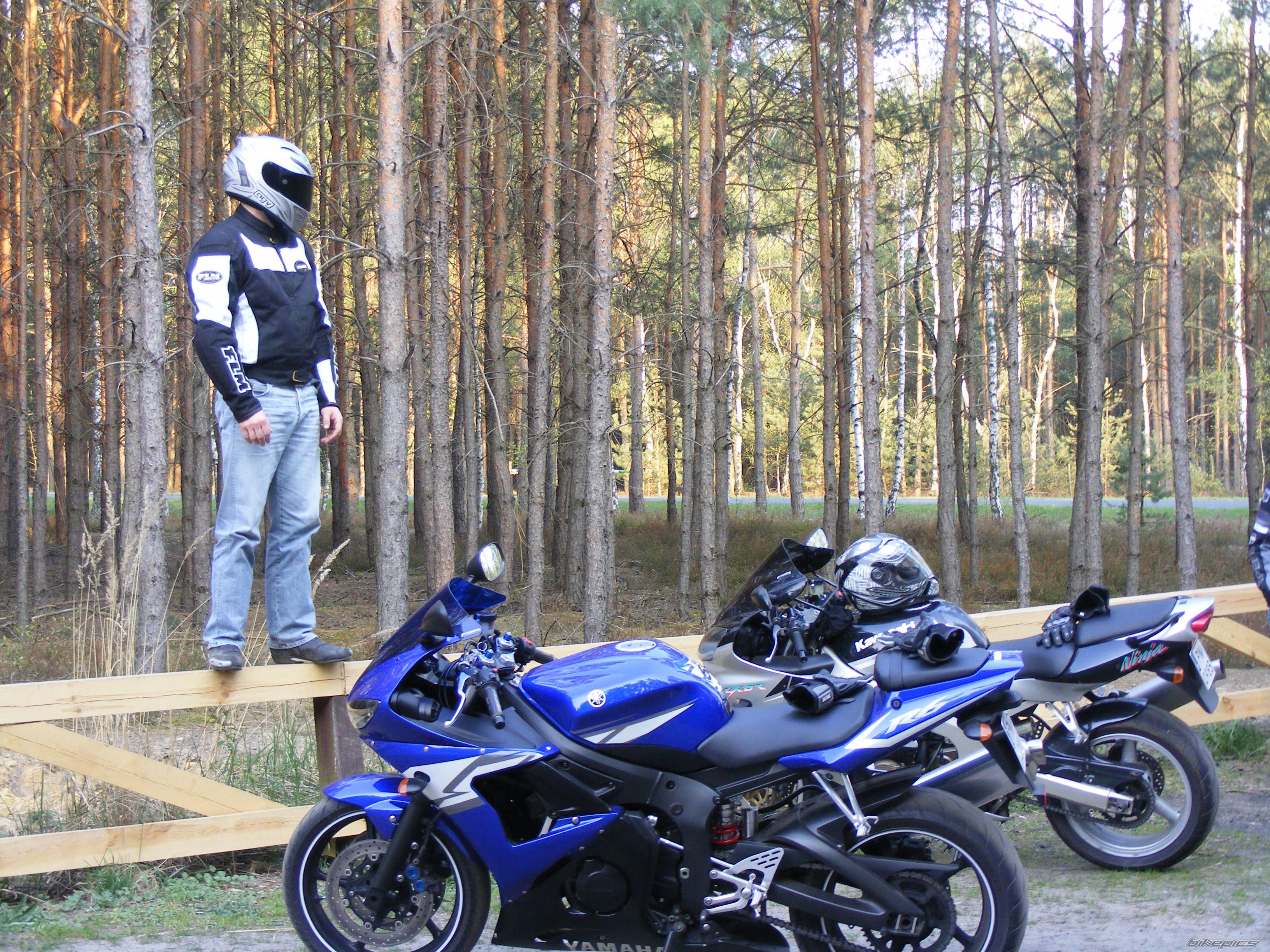 2004 YAMAHA YZF R6 | Picture 2194186 motorcycle photo