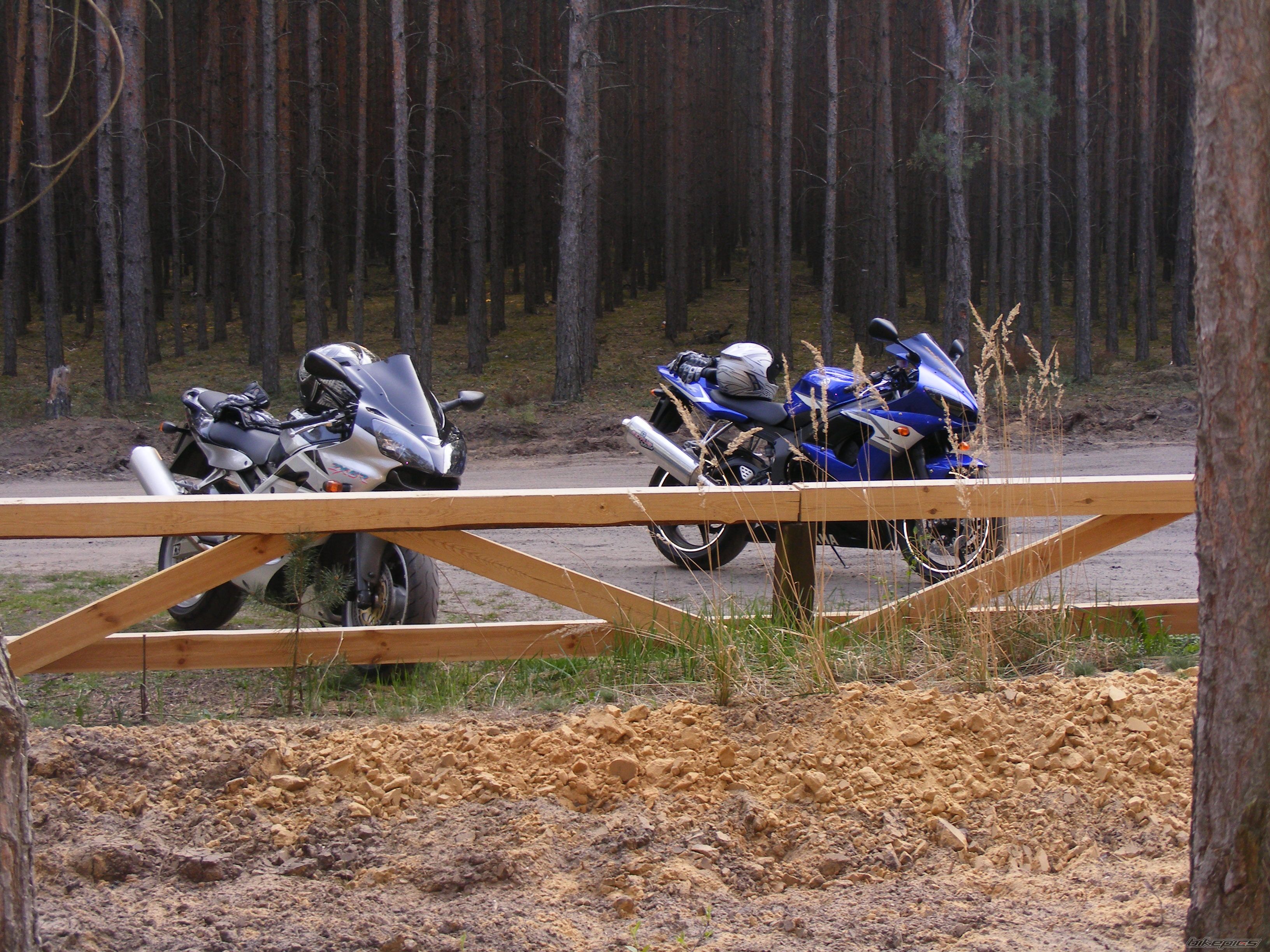 2004 YAMAHA YZF R6 | Picture 2194607 motorcycle photo