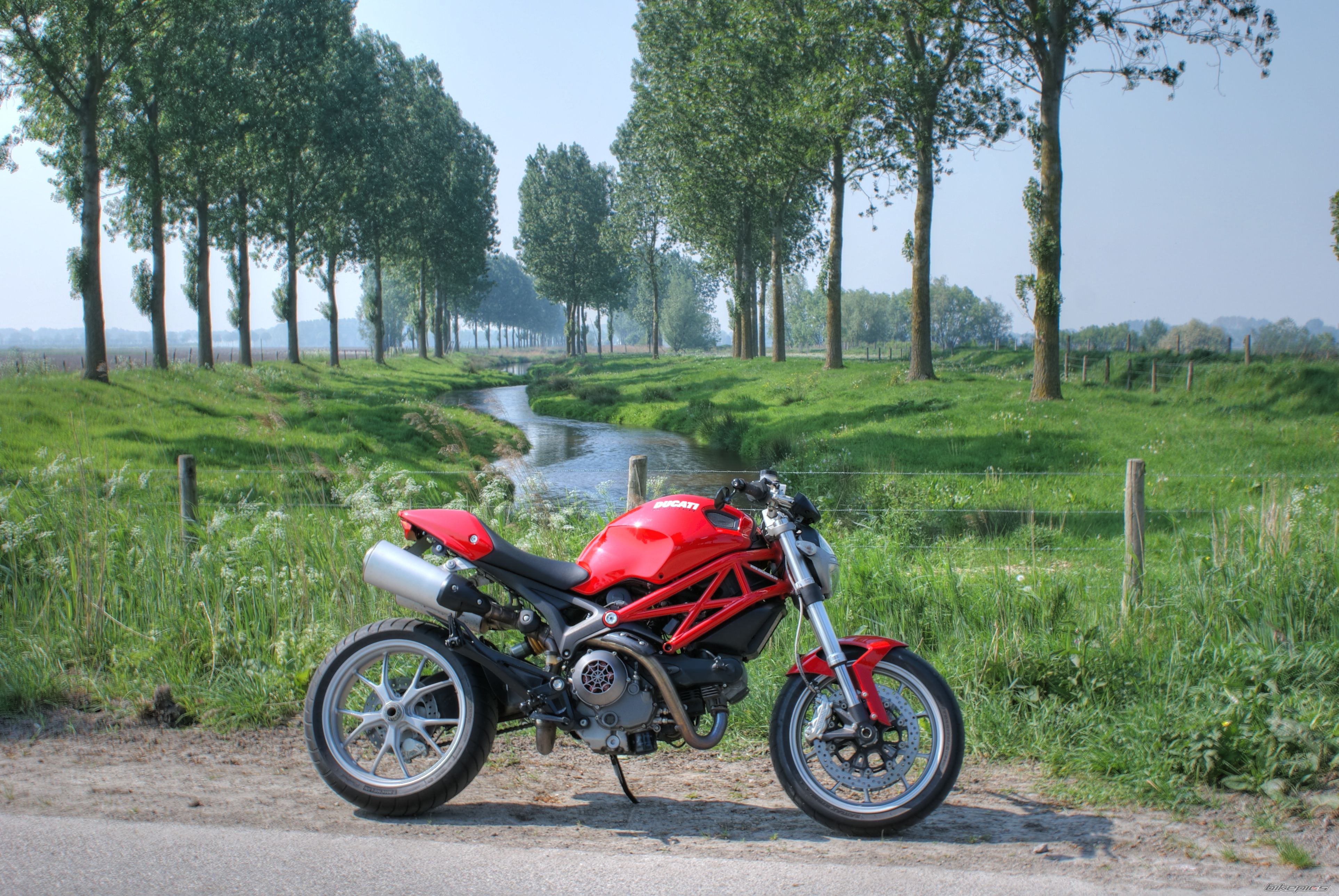 2009 DUCATI MONSTER 1100 | Picture 2195451 motorcycle photo