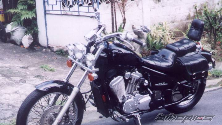 1994 HONDA STEED 400 | Picture 219568 motorcycle photo