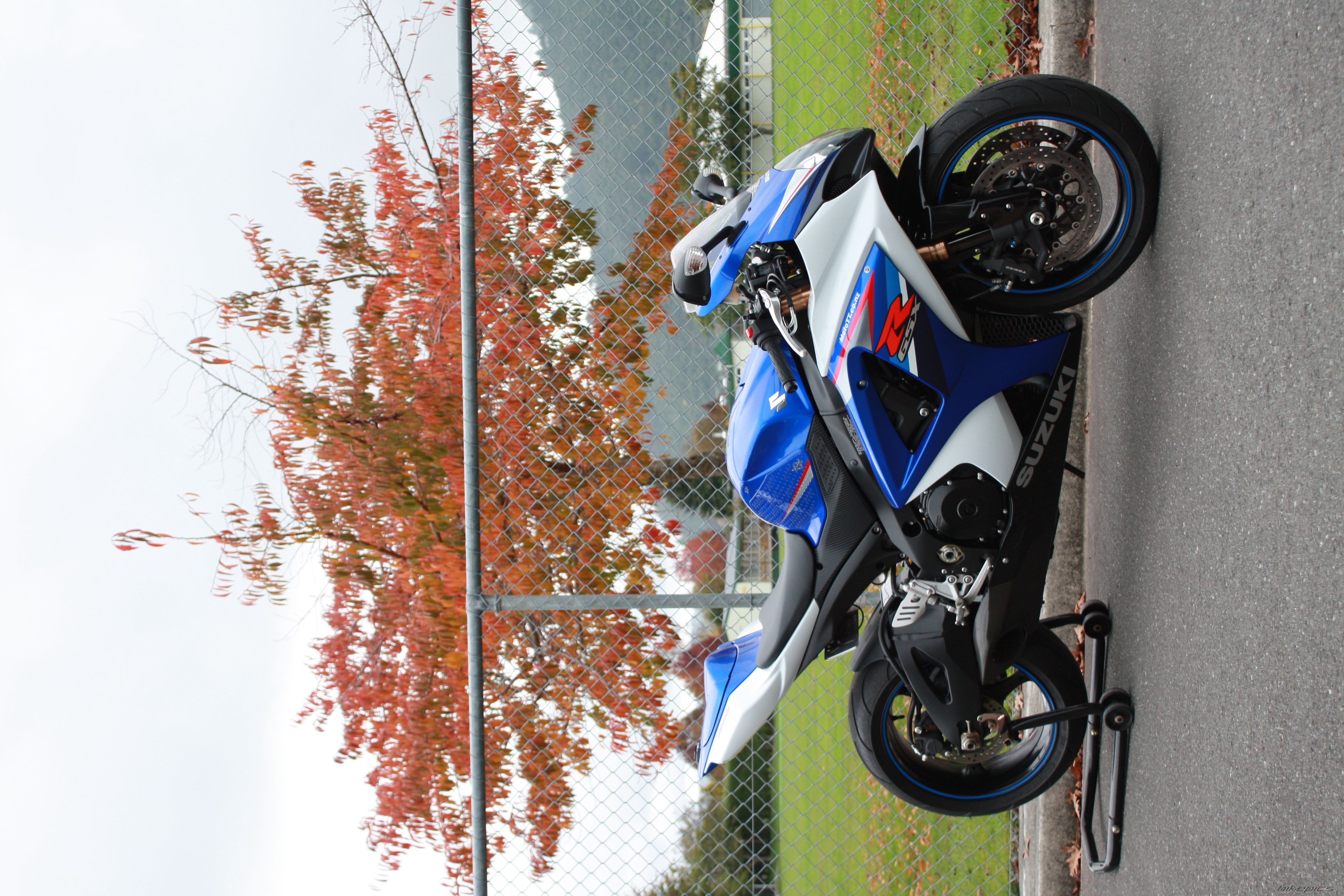 2007 SUZUKI GSX R 1000 | Picture 2195819 motorcycle photo