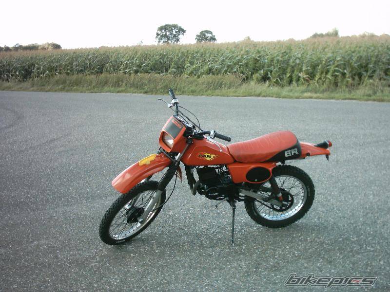 1979 SUZUKI TS 50 | Picture 219598 motorcycle photo