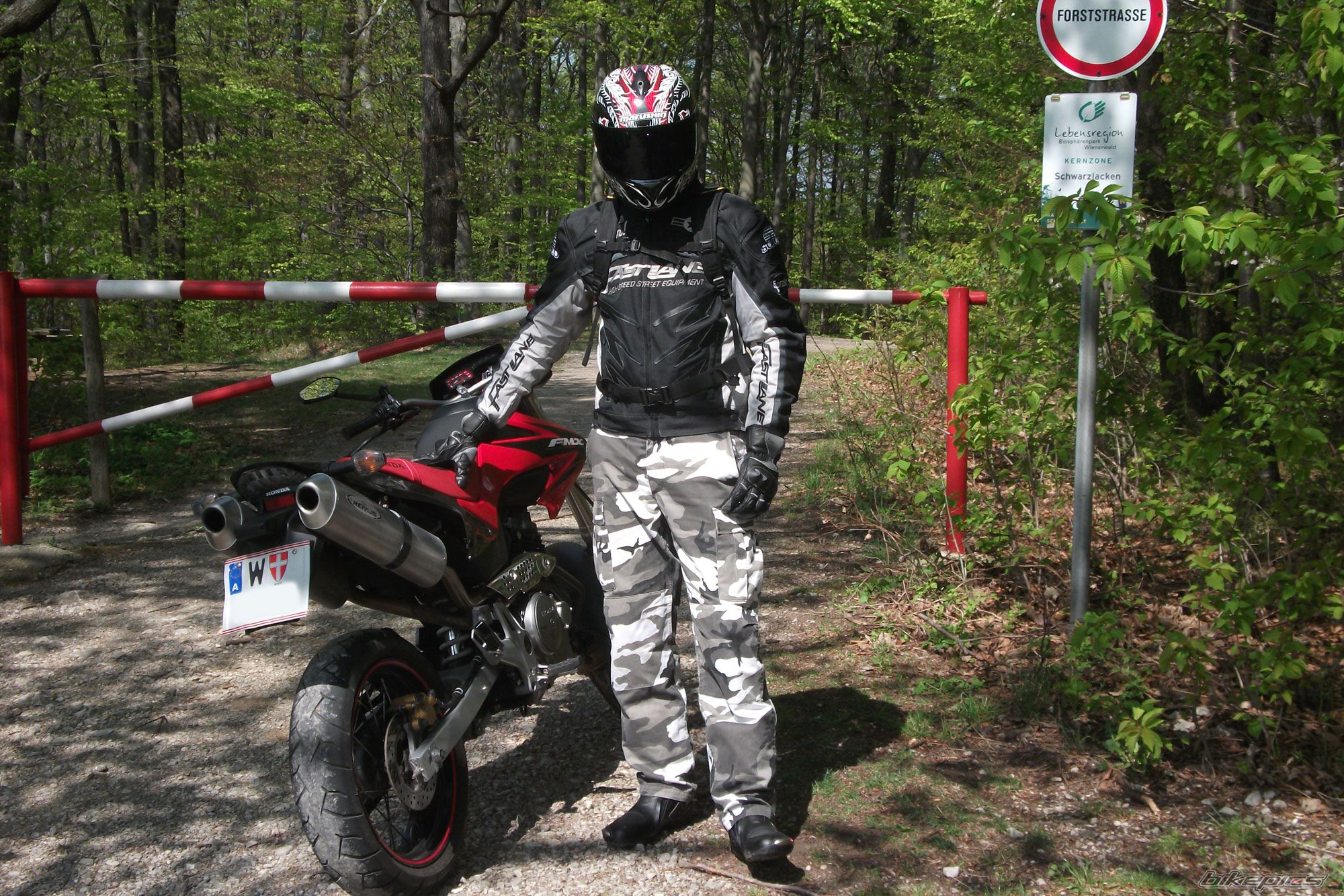 2007 HONDA FMX 650 FUNMOTO | Picture 2196173 motorcycle photo
