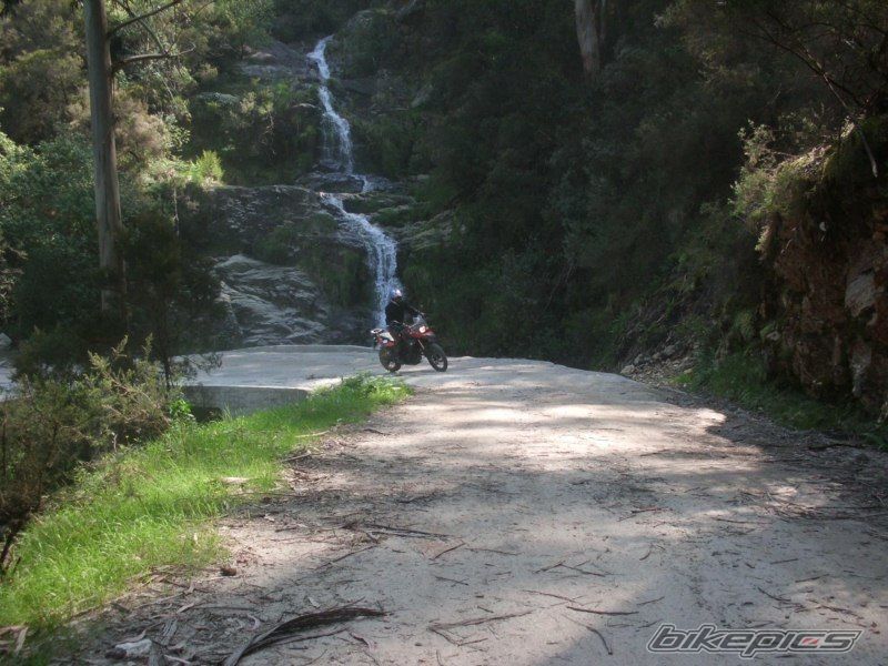 2010 BMW F 800 GS | Picture 2196887 motorcycle photo