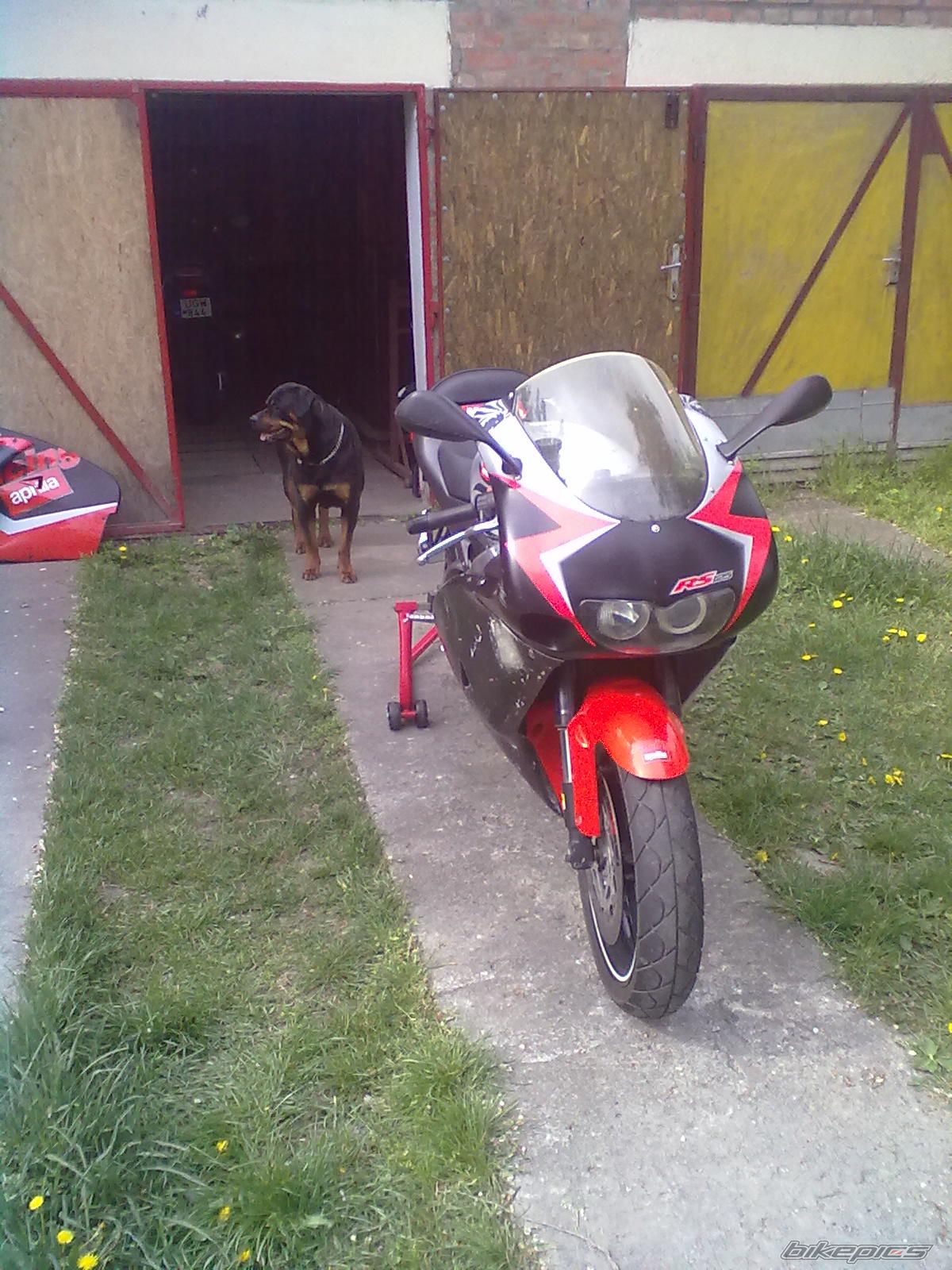 2001 APRILIA RS 125 | Picture 2197034 motorcycle photo