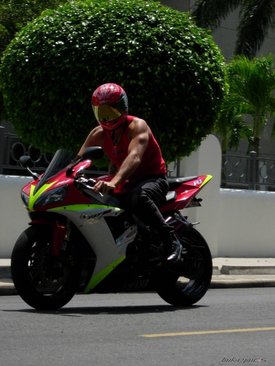 2002 YAMAHA YZF R1 | Picture 219775 motorcycle photo