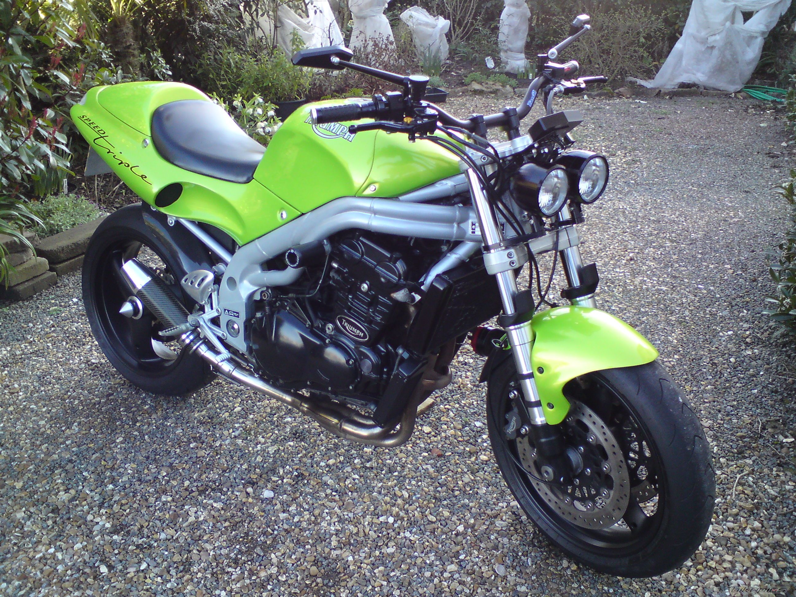 1999 TRIUMPH SPEED TRIPLE | Picture 2197772 motorcycle photo