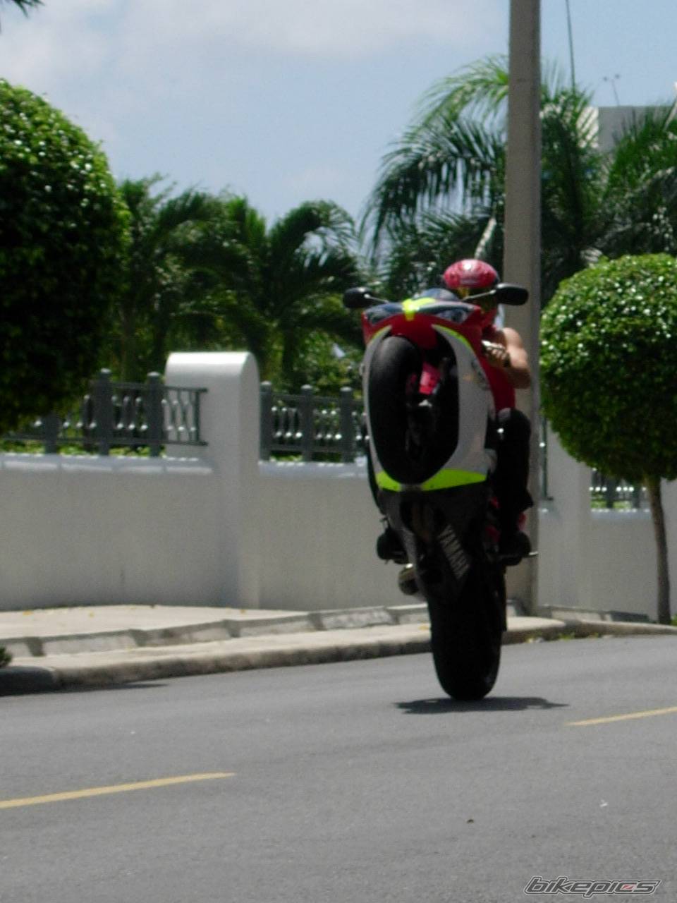 2002 YAMAHA YZF R1 | Picture 219778 motorcycle photo