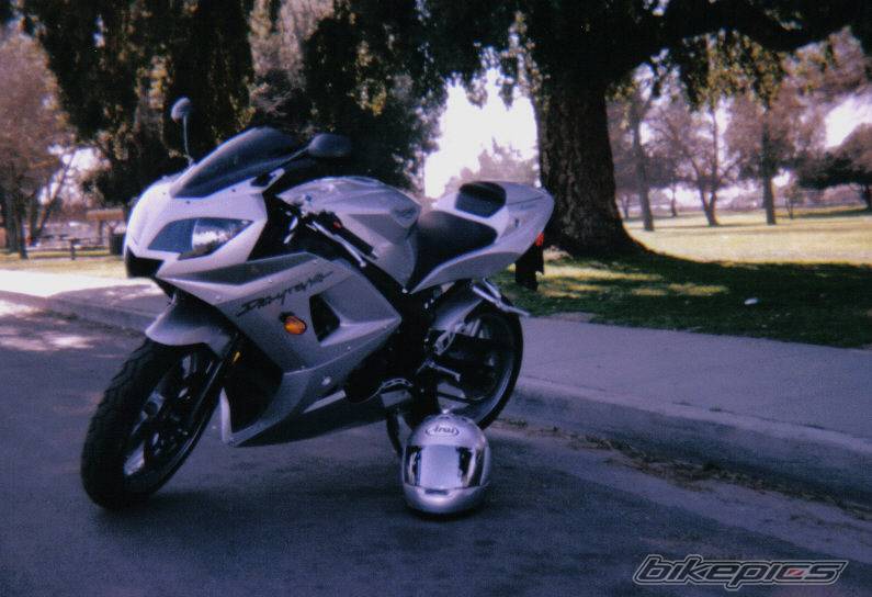 2004 TRIUMPH DAYTONA 600 | Picture 219890 motorcycle photo