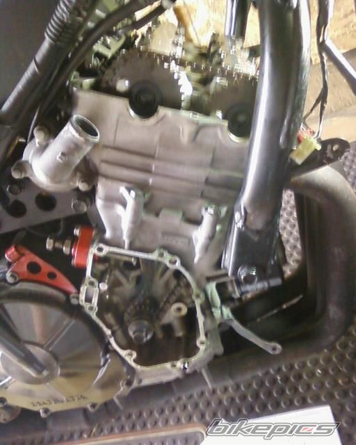1991 HONDA CBR 600 FS | Picture 2199772 motorcycle photo