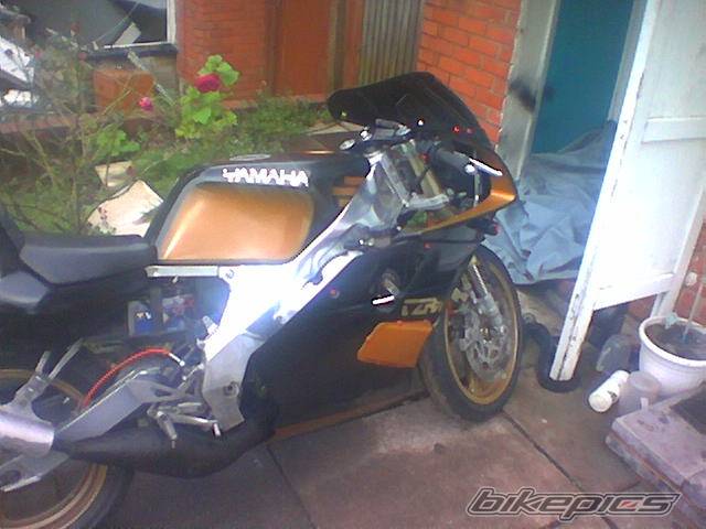 1991 YAMAHA TZR 125 | Picture 220011 motorcycle photo
