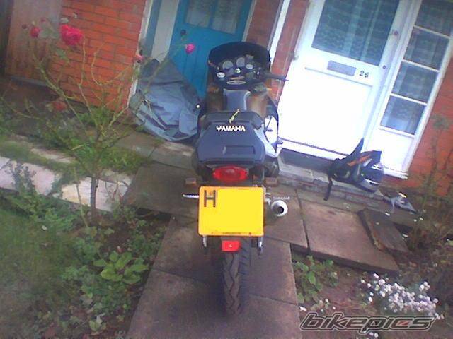 1991 YAMAHA TZR 125 | Picture 220017 motorcycle photo