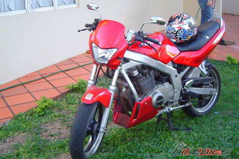 1997 SUZUKI GS 500 | Picture 220058 motorcycle photo