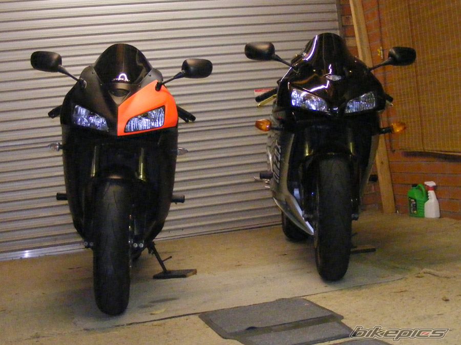 2006 HONDA CBR 600 RR | Picture 2202107 motorcycle photo