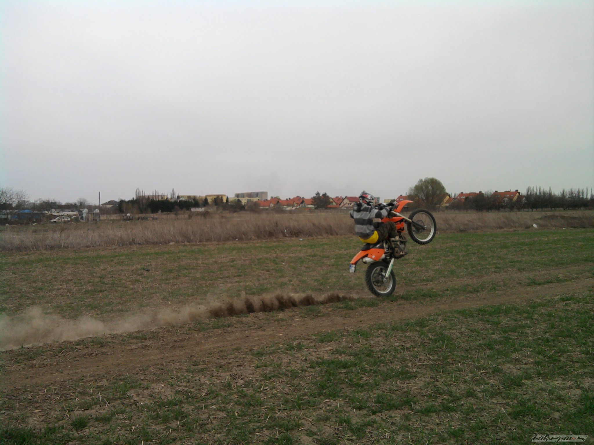 2004 KTM EXC 450 RACING | Picture 2202522 motorcycle photo