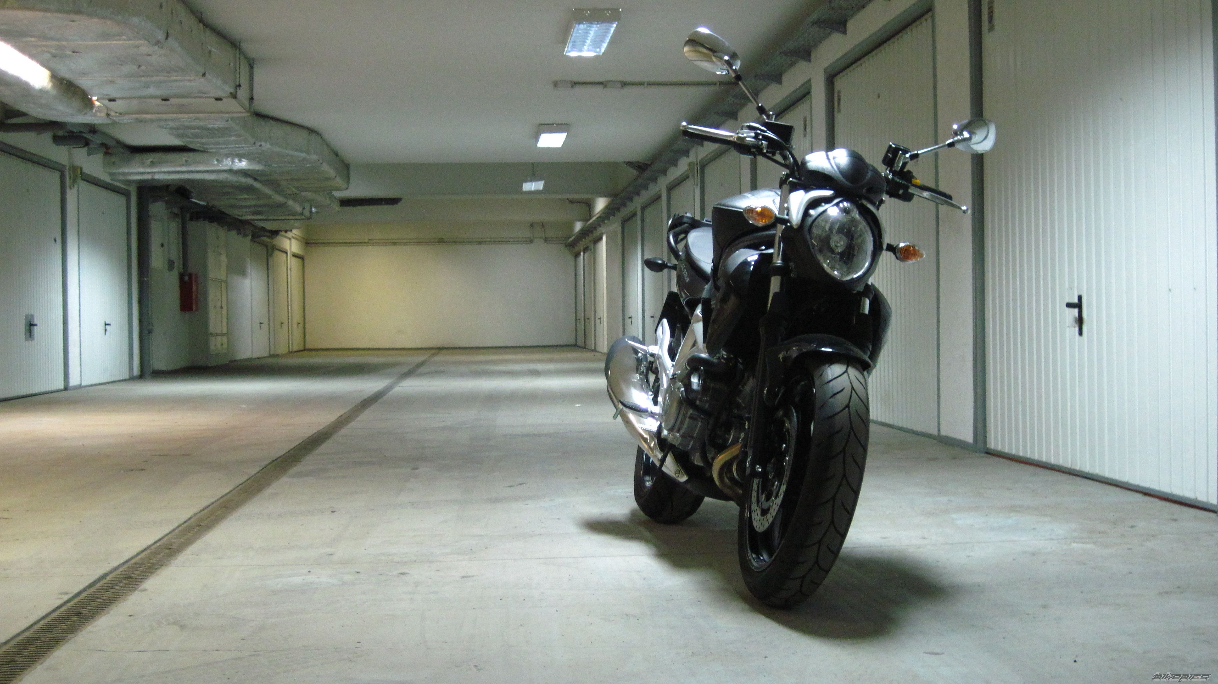 2010 SUZUKI SFV 650 | Picture 2202784 motorcycle photo