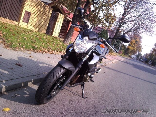 2009 YAMAHA XJ6 DIVERSION F | Picture 2202866 motorcycle photo