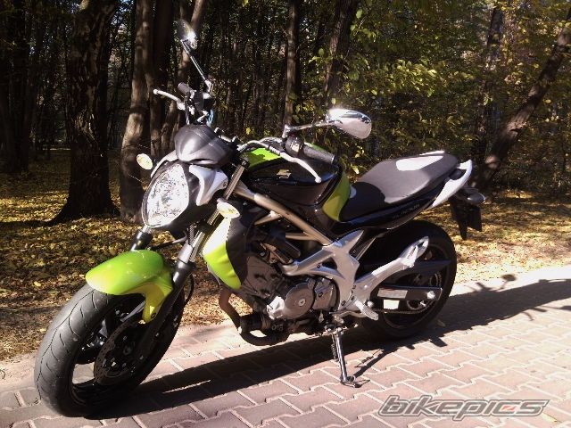 2010 SUZUKI SFV 650 | Picture 2202882 motorcycle photo