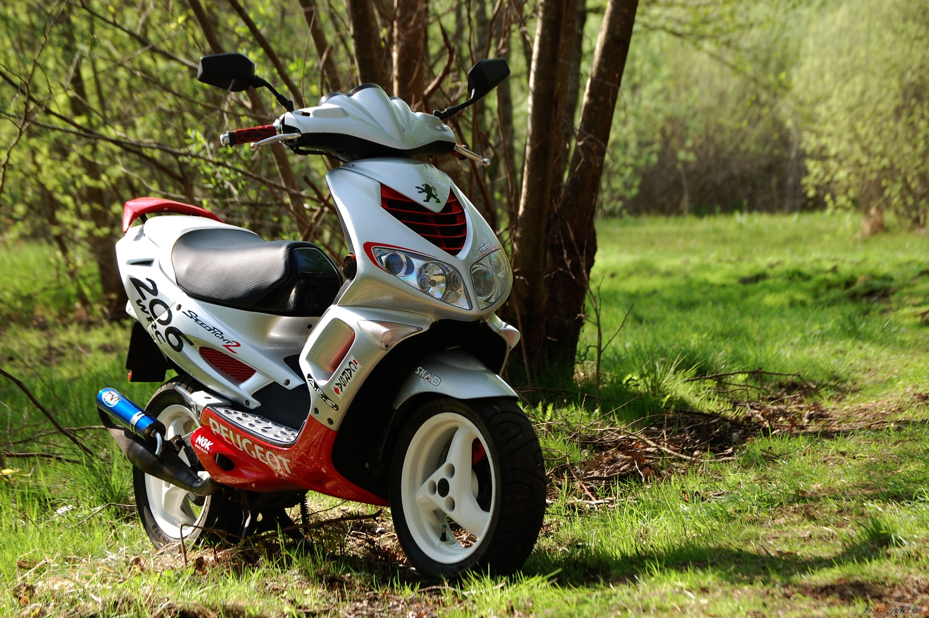 2003 PEUGEOT SPEEDFIGHT2 50 | Picture 2203100 motorcycle photo