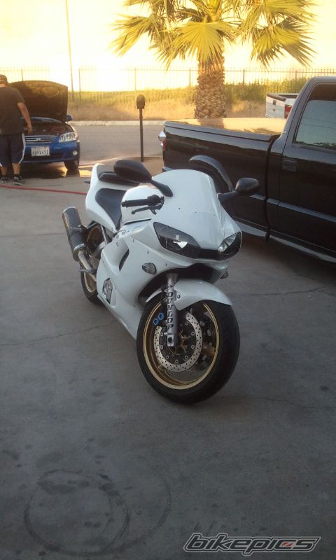 2000 YAMAHA YZF R6 | Picture 2203104 motorcycle photo