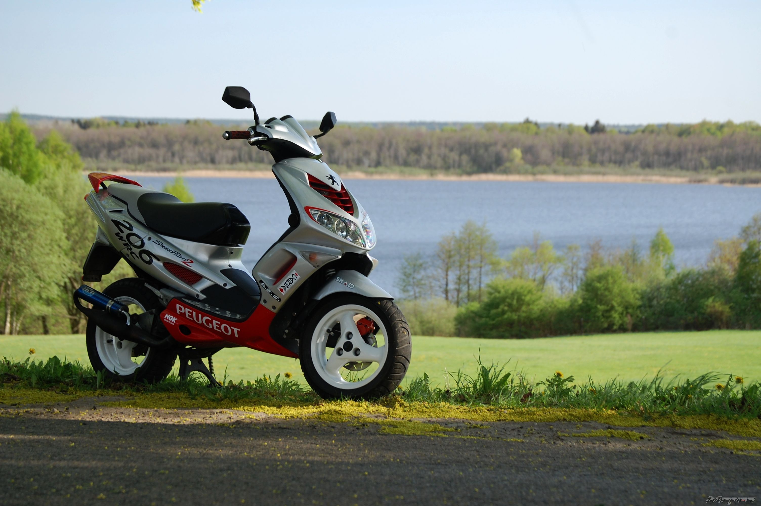 2003 PEUGEOT SPEEDFIGHT2 50 | Picture 2203118 motorcycle photo