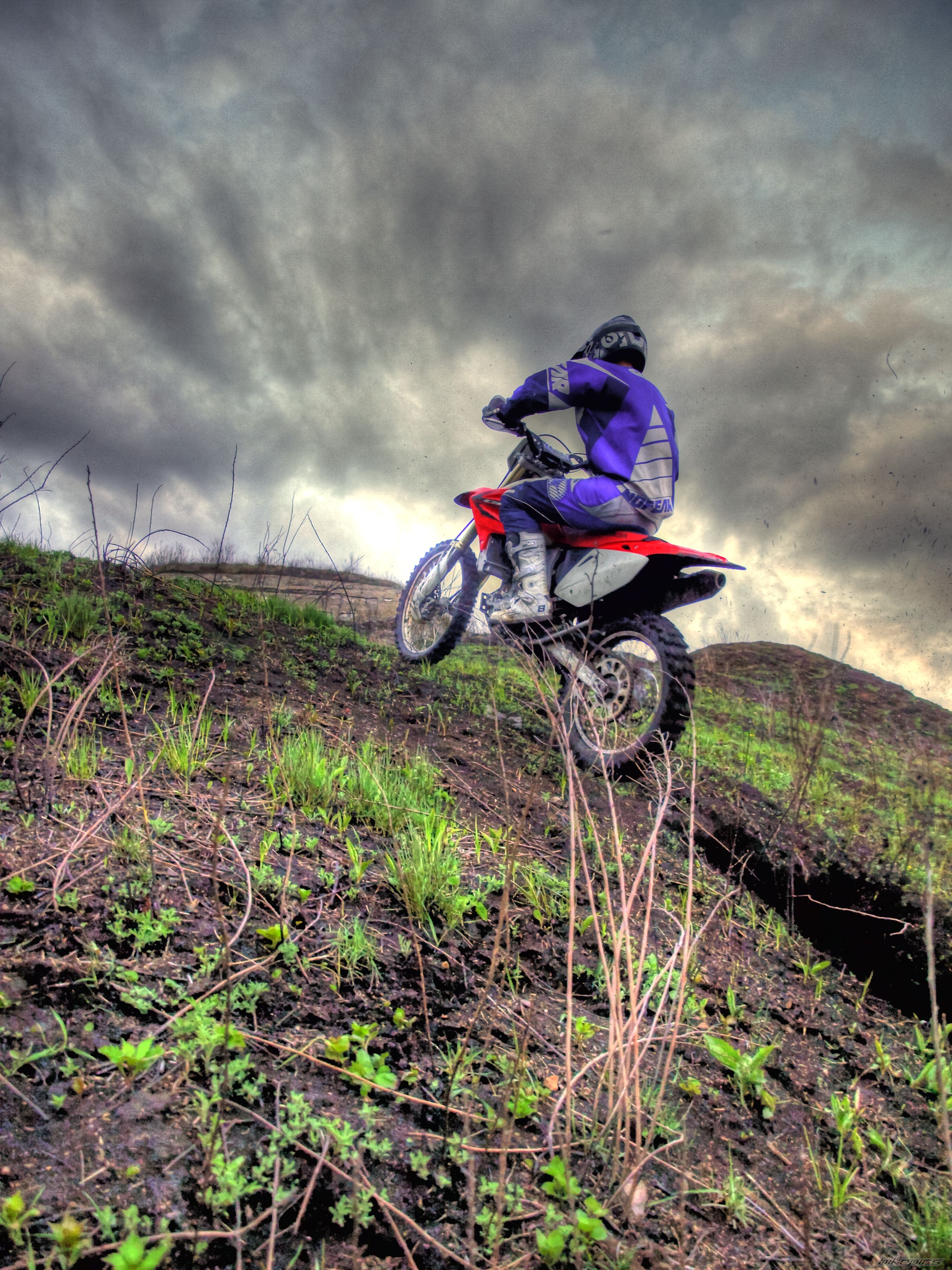 2006 HONDA CRF450X | Picture 2203190 motorcycle photo