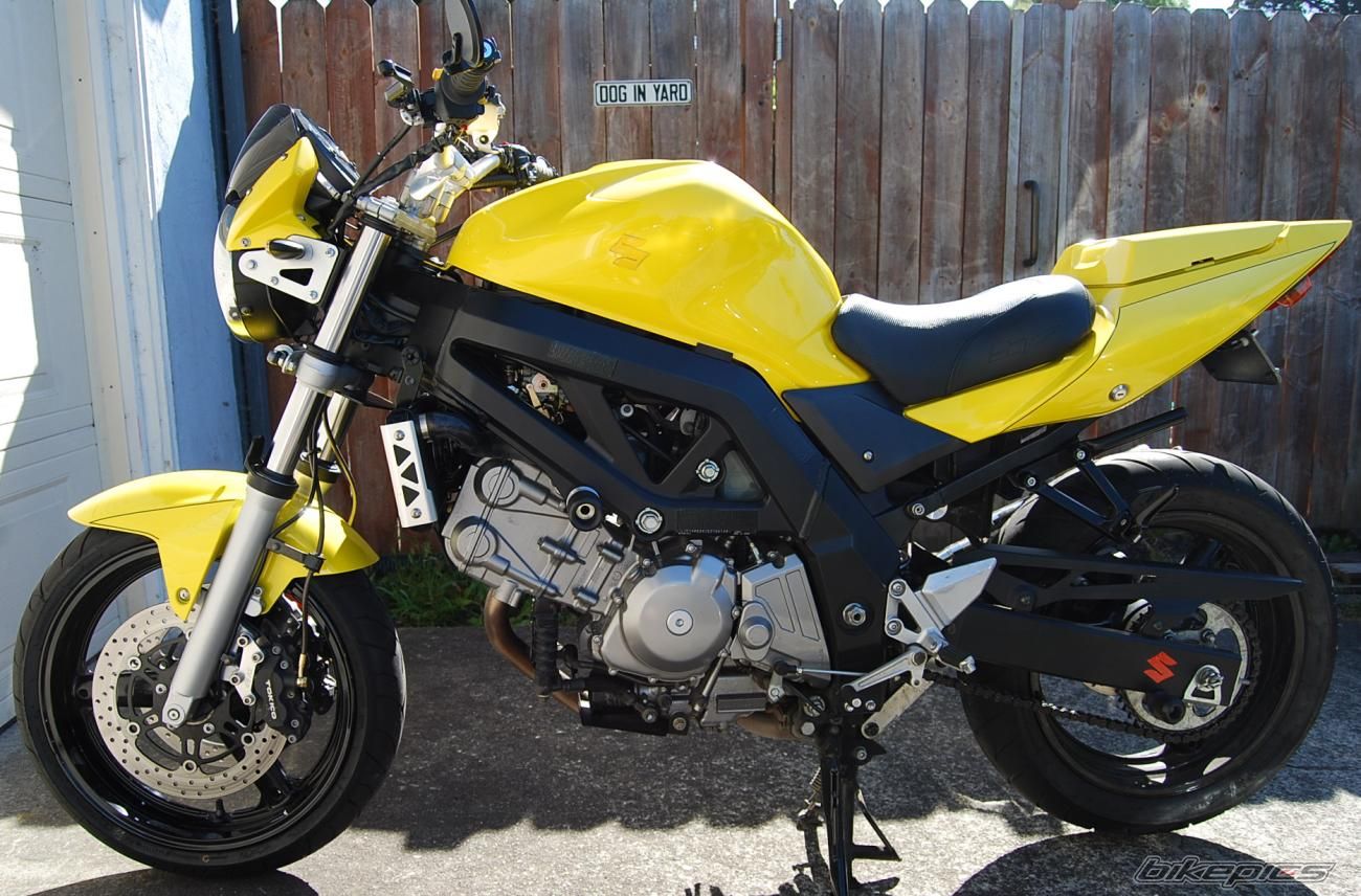 2005 SUZUKI SV 650 | Picture 2203212 motorcycle photo