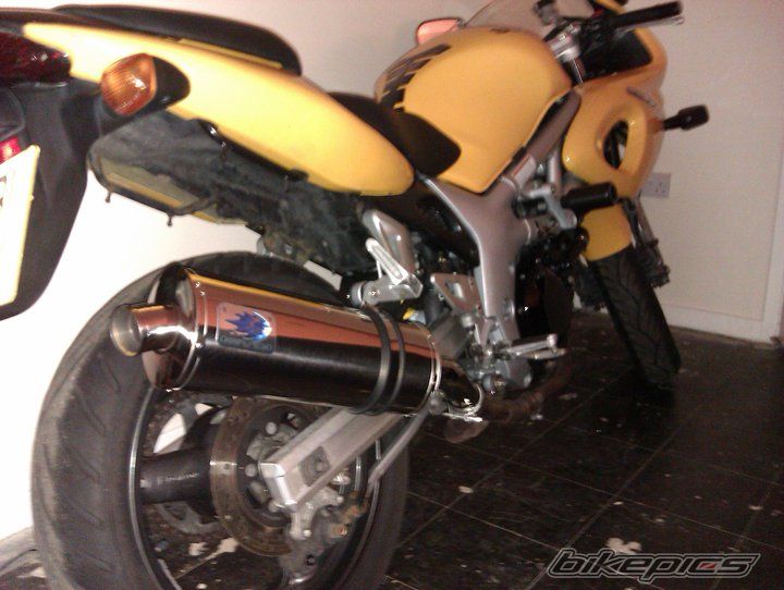 2000 SUZUKI SV650S | Picture 2203605 motorcycle photo