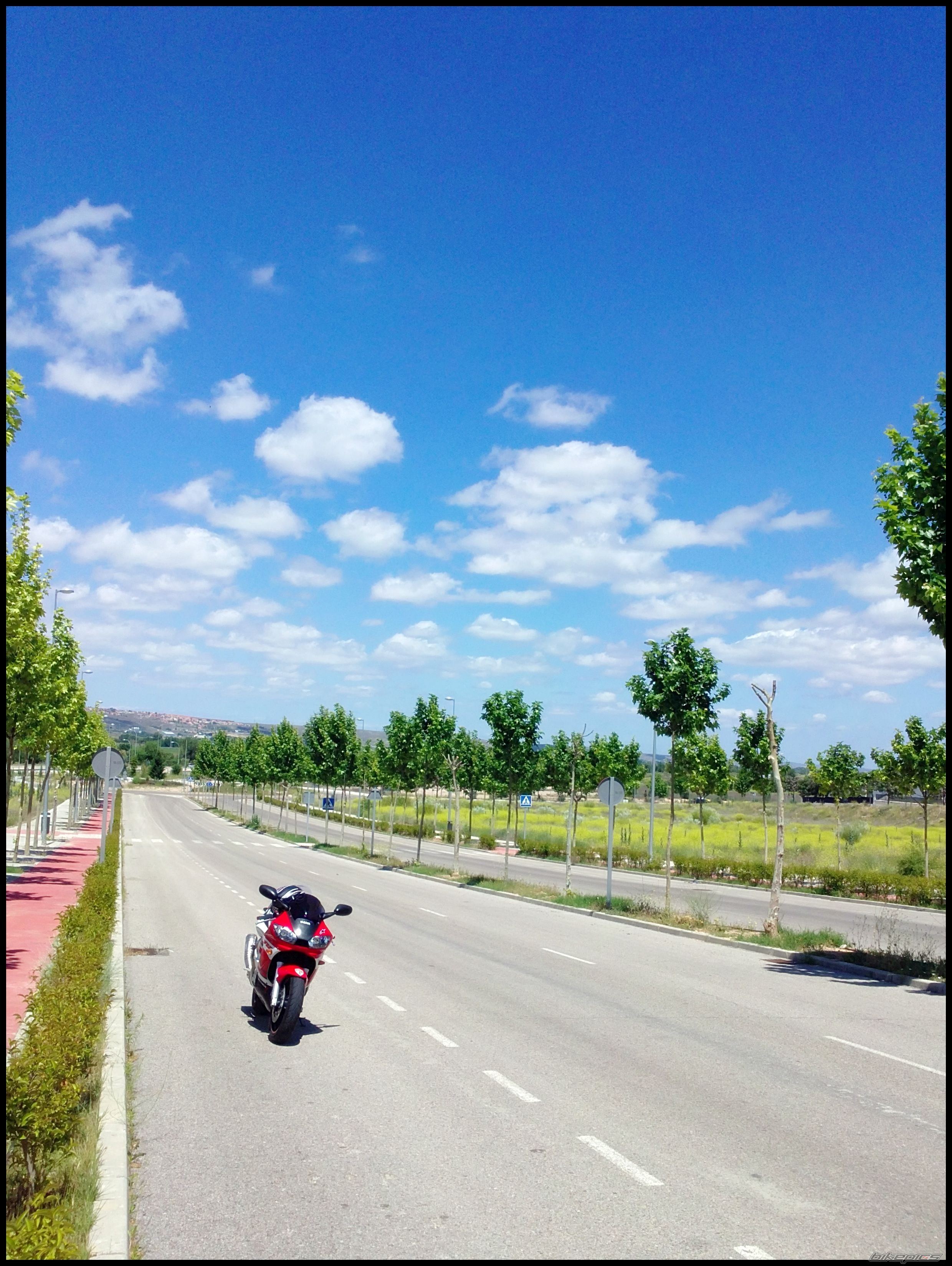 2000 YAMAHA YZF R6 | Picture 2203758 motorcycle photo