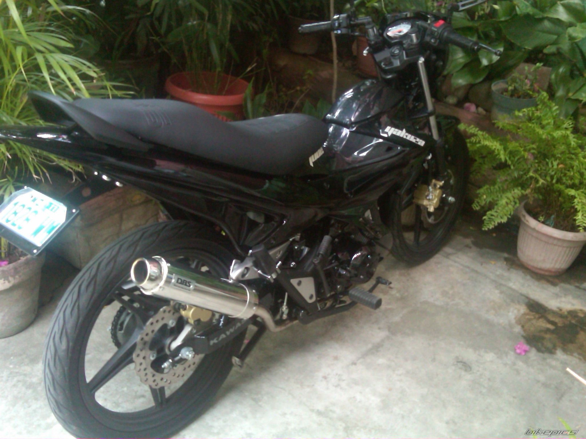 2011 KAWASAKI FURY 125 | Picture 2204021 motorcycle photo