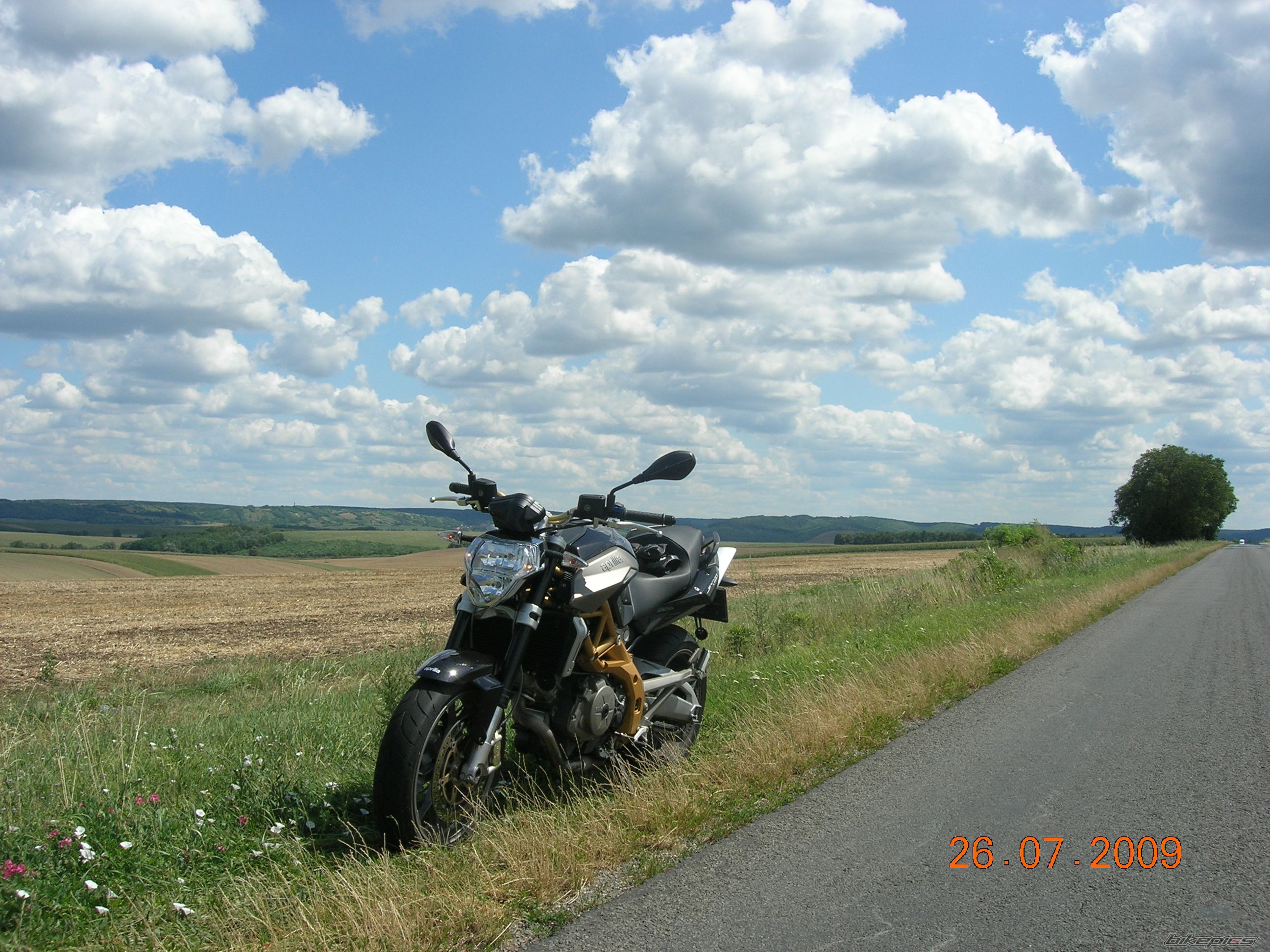2009 APRILIA SHIVER 750 | Picture 2204386 motorcycle photo