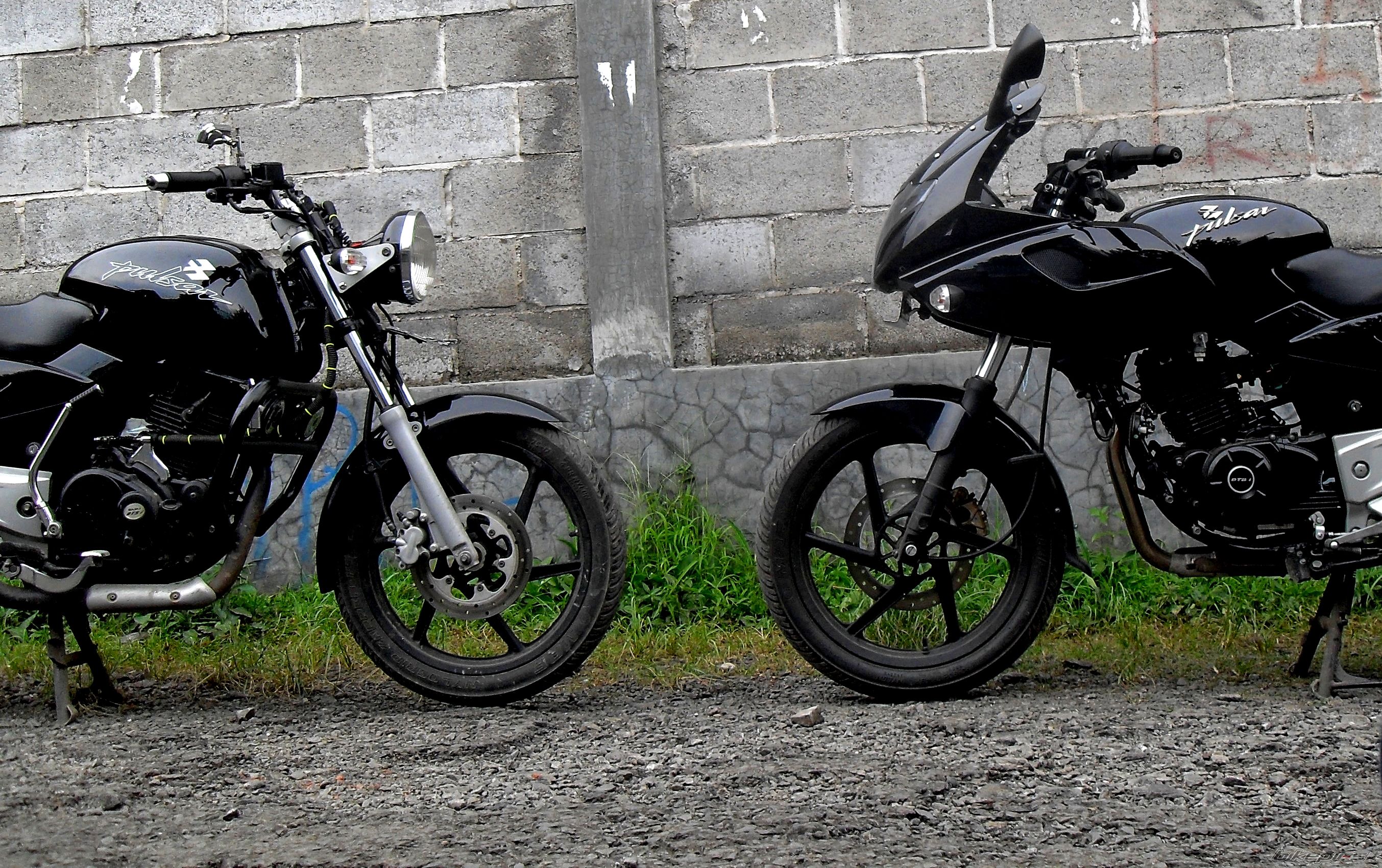 2011 BAJAJ PULSAR 220F | Picture 2204793 motorcycle photo